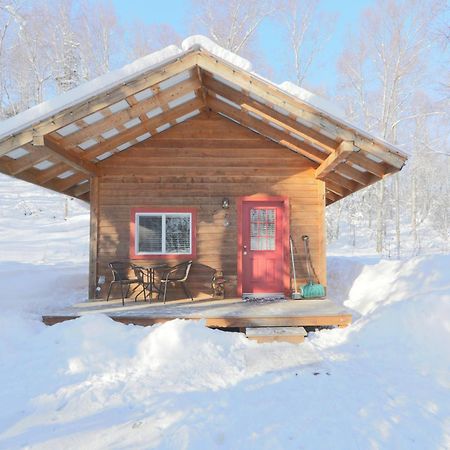 Spruce Cabin Talkeetna Zewnętrze zdjęcie