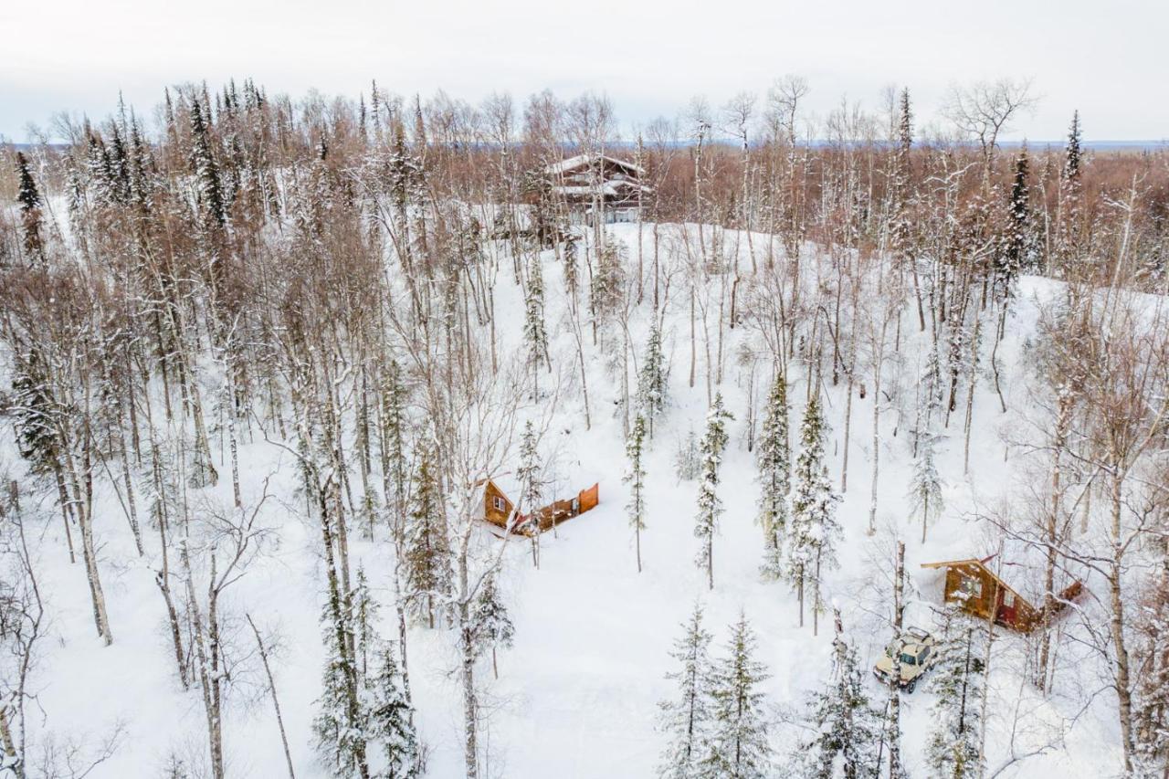 Spruce Cabin Talkeetna Zewnętrze zdjęcie